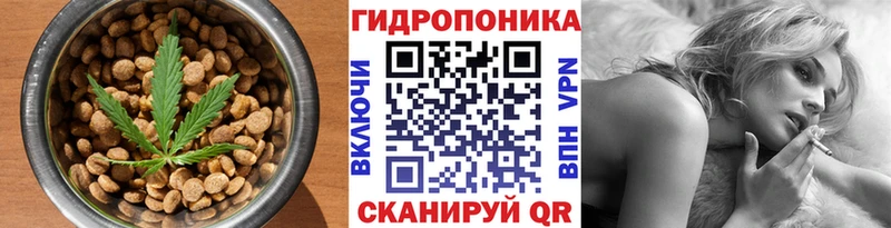 магазин продажи наркотиков  Знаменск  Печенье с ТГК конопля 