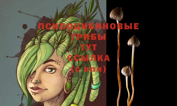 бутират Зеленокумск