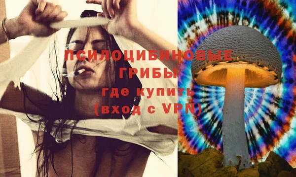 хмурый Зеленодольск