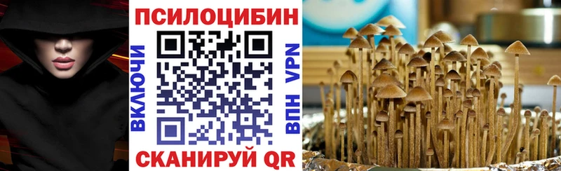Галлюциногенные грибы прущие грибы  ОМГ ОМГ как войти  Знаменск 